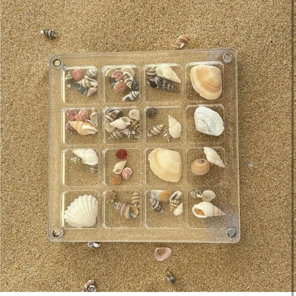 Clear Resin Shell Display